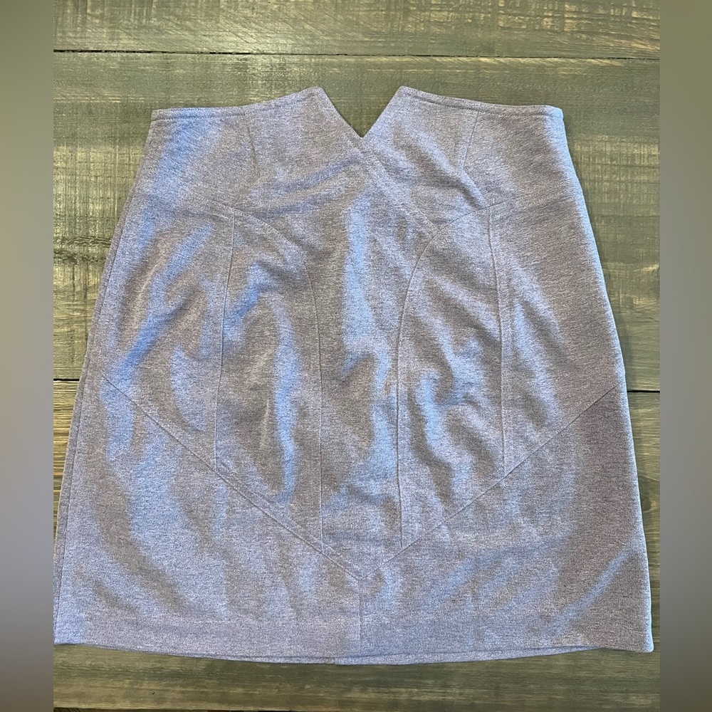 Alexander Wang Mini Skirt